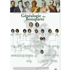 Affiches Et Reproductions<Boutiques de musées Affiche Généalogie des Bonaparte