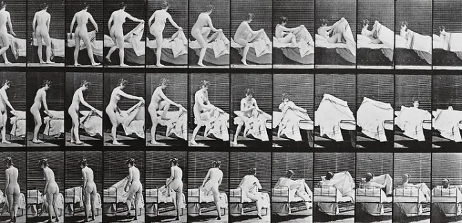 Boutiques de musées Animal Locomotion : femme nue se coucha (panneaux acryliques) Best