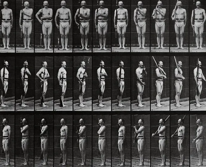 Boutiques de musées Animal Locomotion : homme au fusil (panneaux acryliques) New