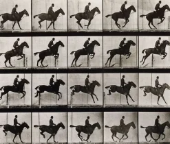 Toiles Sur Châssis|Toiles Sans Cadre<Boutiques de musées Animal Locomotion : Saut d'obstacle, cheval noir (toiles sur châssis)