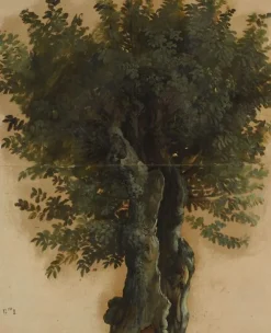Toiles Encadrées|Toiles Sur Châssis<Boutiques de musées Arbres avec un tronc ouvert (toiles encadrées)