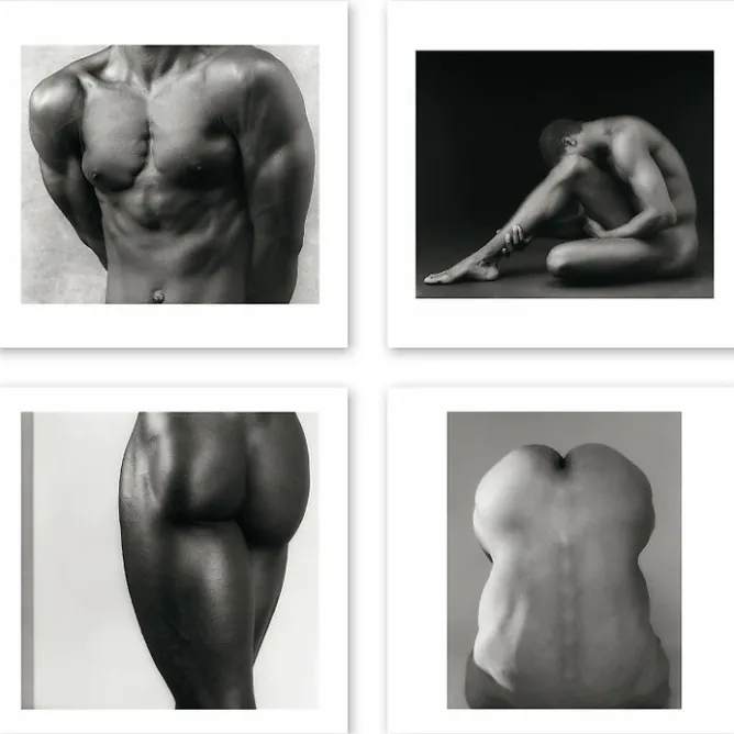 Cartes Et Marques Pages<Boutiques de musées Boîte de 15 cartes & enveloppes - Robert Mapplethorpe