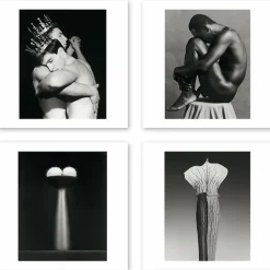 Cartes Et Marques Pages<Boutiques de musées Boîte de 15 cartes & enveloppes - Robert Mapplethorpe