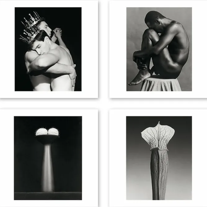 Cartes Et Marques Pages<Boutiques de musées Boîte de 15 cartes & enveloppes - Robert Mapplethorpe