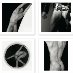 Cartes Et Marques Pages<Boutiques de musées Boîte de 15 cartes & enveloppes - Robert Mapplethorpe