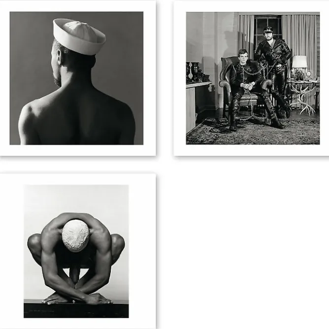 Cartes Et Marques Pages<Boutiques de musées Boîte de 15 cartes & enveloppes - Robert Mapplethorpe
