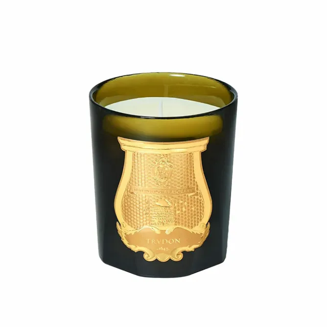 Senteurs<Boutiques de musées Bougie Classique 270g Ernesto - Trudon