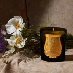 Boutiques de musées Bougie Classique 270g Solis Rex - Trudon Clearance