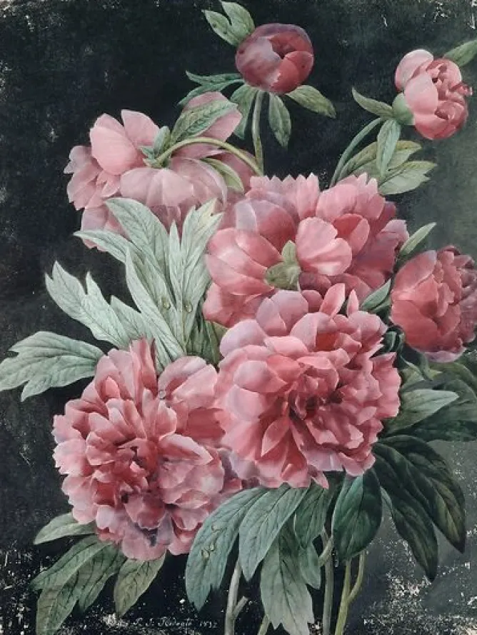 Panneaux Aluminium|Panneaux Acryliques<Boutiques de musées Branches de pivoines (panneaux aluminium)