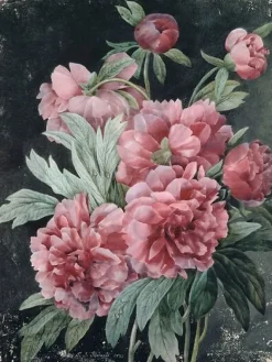 Boutiques de musées Branches de pivoines (toiles encadrées)