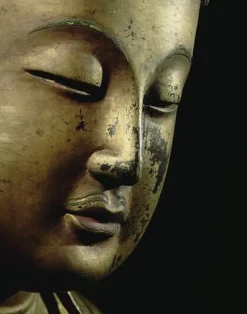 Boutiques de musées Buddha enseignant faisant le geste de la prédication (panneaux aluminium) Clearance