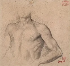 Boutiques de musées Buste de jeune homme nu (toiles encadrées) Sale