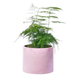 Boutiques de musées Cache-pot XXL - Béton Rose pastel