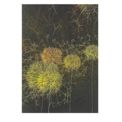 Cahiers Et Carnets<Boutiques de musées Cahier Artistes et robots - Les Pissenlits