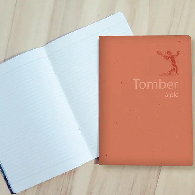 Boutiques de musées Cahier Château de Fontainebleau - Tomber à pic Best