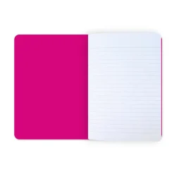 Boutiques de musées Cahier Henri Matisse - Nus bleus IV & II New