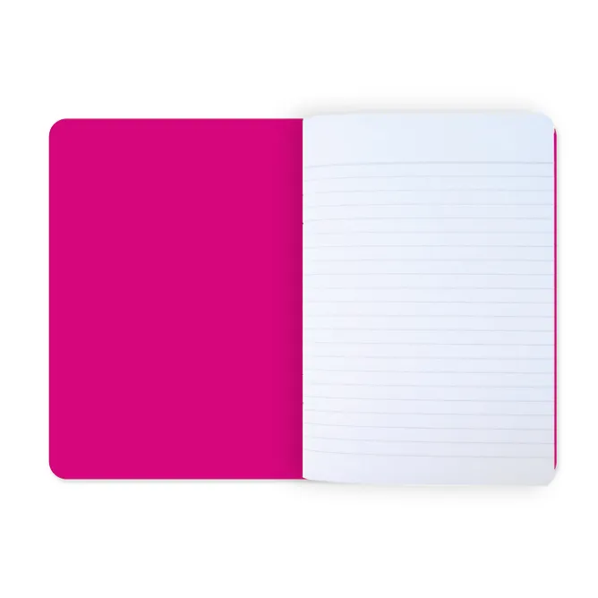 Boutiques de musées Cahier Henri Matisse - Nus bleus IV & II New
