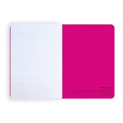 Boutiques de musées Cahier Henri Matisse - Nus bleus IV & II New