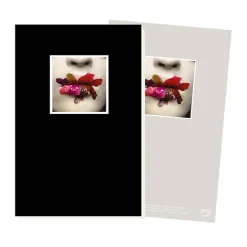 Boutiques de musées Cahier Irving Penn - Bouche Discount