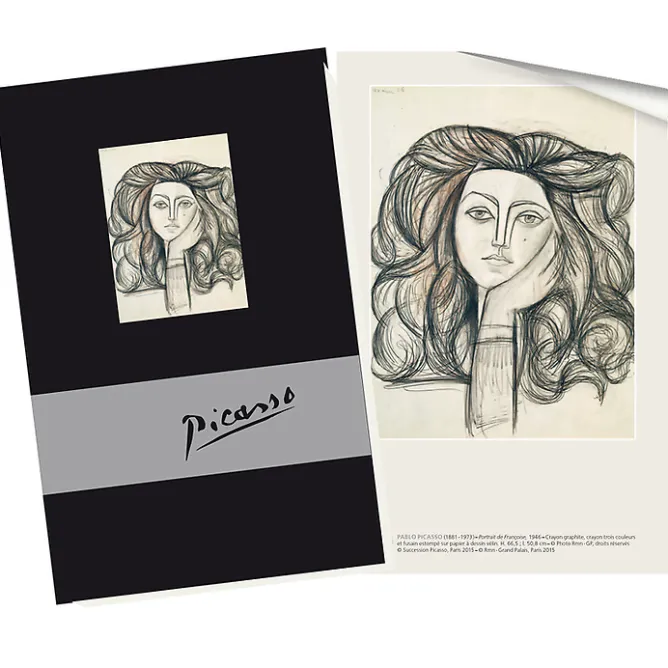 Cahiers Et Carnets<Boutiques de musées Cahier Pablo Picasso - Portrait de Françoise