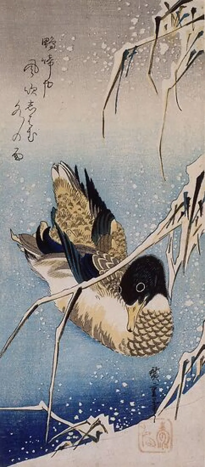 Toiles Encadrées|Affiches D'Art Encadrées<Boutiques de musées Canard et roseaux sous la neige (toiles encadrées)