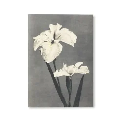 Cahiers Et Carnets<Boutiques de musées Carnet de notes - Fleurs japonaises