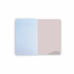 Cahiers Et Carnets<Boutiques de musées Carnet Edgar Degas - Ballet dit aussi L'Étoile, vers 1876