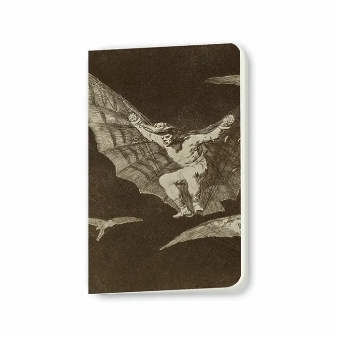 Cahiers Et Carnets<Boutiques de musées Carnet Francisco de Goya y Lucientes - Une façon de voler, 1816-1823