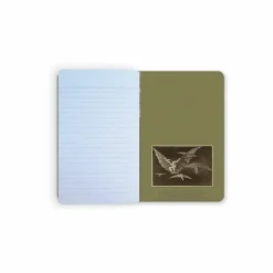 Cahiers Et Carnets<Boutiques de musées Carnet Francisco de Goya y Lucientes - Une façon de voler, 1816-1823