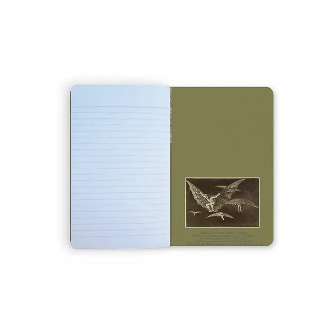 Cahiers Et Carnets<Boutiques de musées Carnet Francisco de Goya y Lucientes - Une façon de voler, 1816-1823