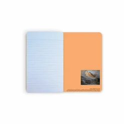 Cahiers Et Carnets<Boutiques de musées Carnet Louis Janmot - Le Poème de l'âme. L'Idéal, entre 1835 et 1855