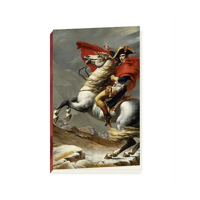 Cahiers Et Carnets<Boutiques de musées Carnet - Napoléon