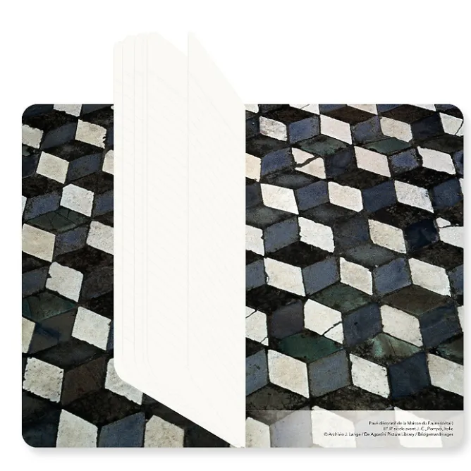 Boutiques de musées Carnet Pompéi - Pavé décoratif de la Maison du Faune
