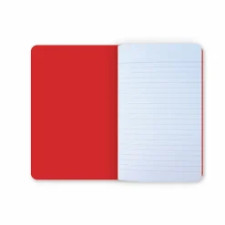 Cahiers Et Carnets<Boutiques de musées Carnet Questions prioritaires - Conseil constitutionnel