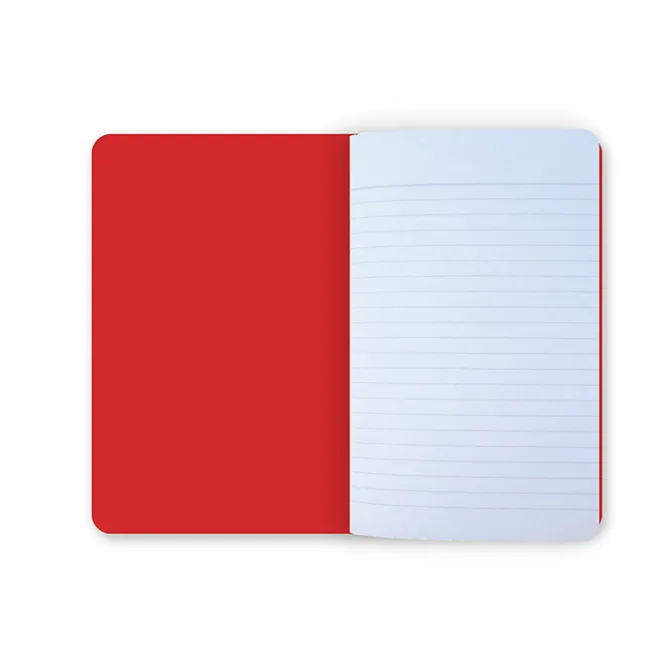 Cahiers Et Carnets<Boutiques de musées Carnet Questions prioritaires - Conseil constitutionnel