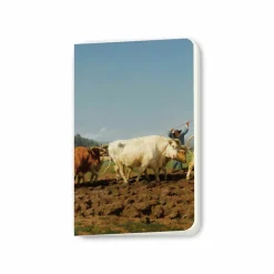 Cahiers Et Carnets<Boutiques de musées Carnet Rosa Bonheur - Labourage nivernais dit aussi Le Sombrage