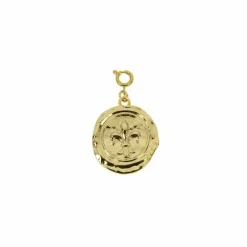 Boutiques de musées Charm Château de Versailles - Médaille Fleur de lys - Les Cleias Discount