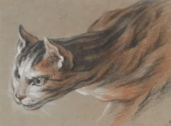 Toiles Sur Châssis|Affiches D'Art<Boutiques de musées Chat projetant sa tête en avant (toiles sur châssis)