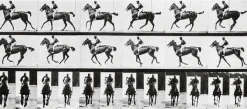 Affiches D'Art|Toiles Sans Cadre<Boutiques de musées Cheval au galop (affiches d'art)