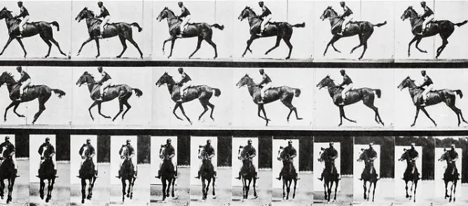 Boutiques de musées Cheval au galop (affiches d'art encadrées) Best