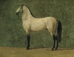 Toiles Encadrées|Toiles Sur Châssis<Boutiques de musées Cheval de Napoléon 1er "le Familier" (toiles encadrées)