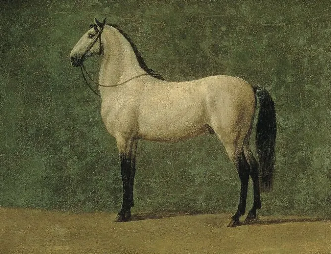 Toiles Encadrées|Toiles Sur Châssis<Boutiques de musées Cheval de Napoléon 1er "le Familier" (toiles encadrées)
