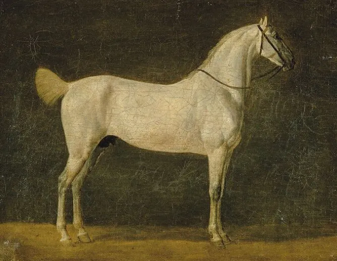 Boutiques de musées Cheval de Napoléon "le Distingué" (toiles sans cadre)
