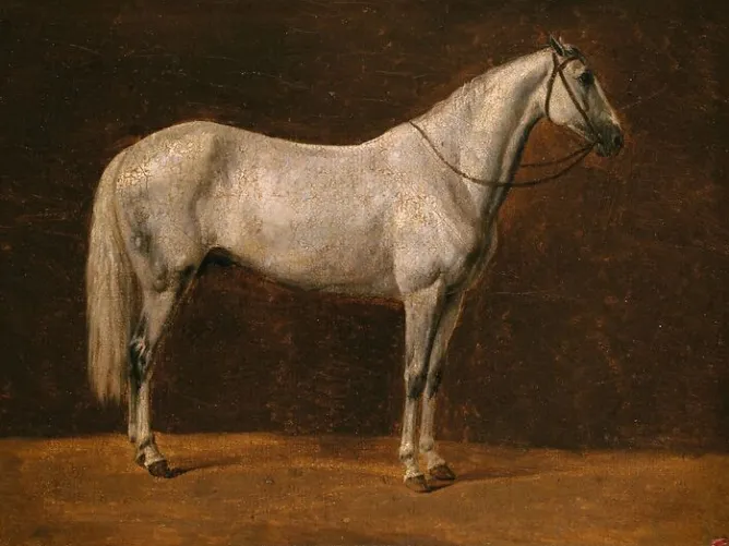 Panneaux Aluminium|Panneaux Acryliques<Boutiques de musées Cheval de Napoléon : "Le Sahara" (panneaux aluminium)