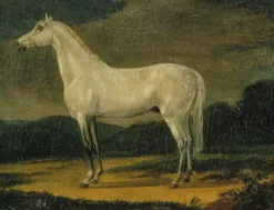 Panneaux Aluminium|Panneaux Acryliques<Boutiques de musées Cheval de Napoléon "le Vizir" (panneaux aluminium)