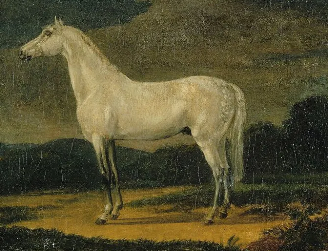 Boutiques de musées Cheval de Napoléon "le Vizir" (toiles encadrées)