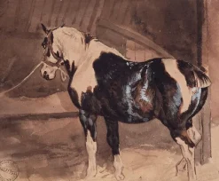 Panneaux Aluminium|Toiles Encadrées<Boutiques de musées Cheval pie au repos à l'écurie (panneaux aluminium)