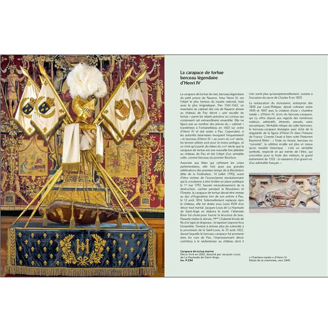 Guides De Musées<Boutiques de musées Château de Pau Musée national et domaine - Guide