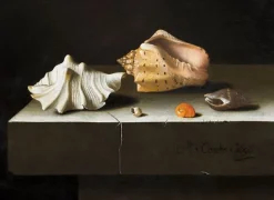 Toiles Encadrées|Affiches D'Art Encadrées<Boutiques de musées Cinq coquillages sur une tablette de pierre (toiles encadrées)