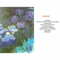 Monographies<Boutiques de musées Claude Monet Nymphéas